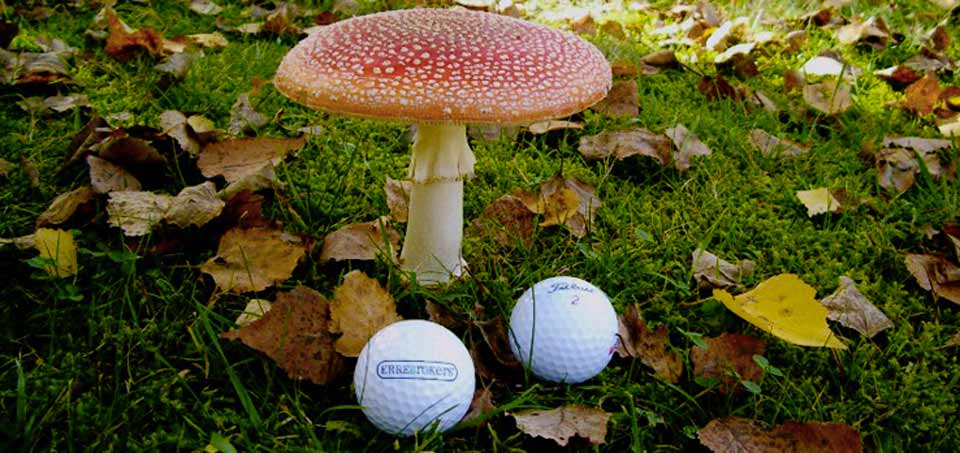 Golf Club Lanzo